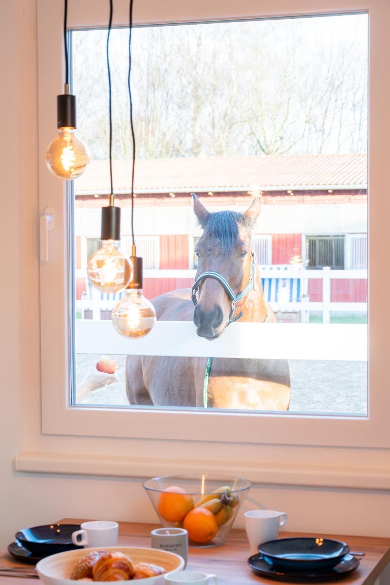Ferienwohnungen Reiterhof Boltenhagen Eksteriør billede